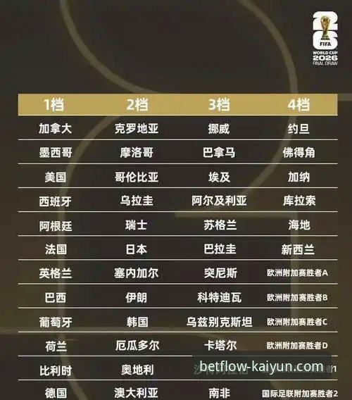 从附加赛狂欢到世界杯入场：开云体育平台赛事追踪与投注操作教程